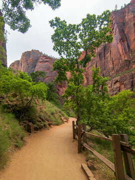 Zion National Park on a Cloudy Day