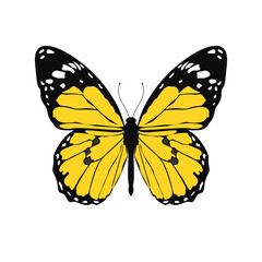 Colorful vector flat illustration. Bright yellow butterfly  with black and white wings isolated on white background. Clipart. Perfect for design, decor or nature themes. EPS 10
