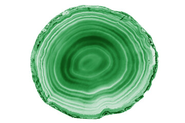 Fototapeta premium A painted Green agate slice with white veins on a white background is perfect for jewelry. Its natural layers enhance the beauty of handmade accessories.