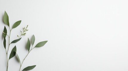 Fresh floral arrangement top view