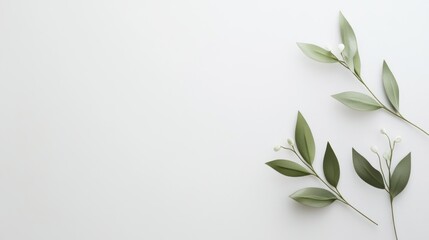 Nature minimalist floral arrangement