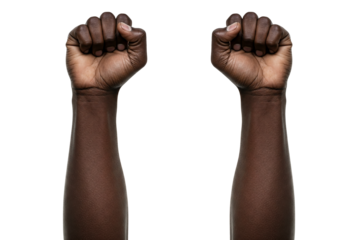 Raised black hands Fist: A Close-Up of an Arm Extending Upward with a Clenched Fist, Isolated on a White Background, Symbolizing Strength