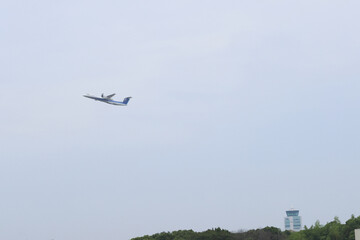 鈍色の空、白い翼
