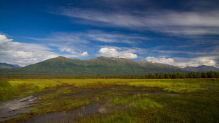 Moose Range, Alaska