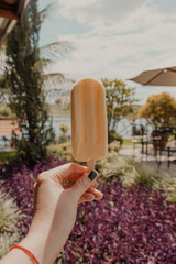 Hand Holding a Popsicle Outdoors
