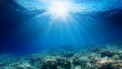 Fototapeta premium underwater background deep blue sea and beautiful sun ray under sea
