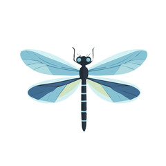 My A Simple flat 2D illustration blue dragonfly isolated on transparent background, vector, flat design, animation design, simple flat 2D icon, clipart, flat 2D vector, design by me. vector icon