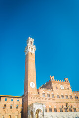 Fototapeta premium Torre del Mangia in Siena, Italy on a Clear Day