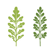 My A Simple flat 2D illustration sliced arugula leaves isolated on transparent background, vector, flat design, animation design, simple flat 2D icon, clipart, flat 2D, design by me. My vector
