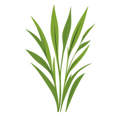 My A Simple flat 2D illustration wheatgrass isolated on transparent background, vector, flat design, animation design, simple flat 2D icon, clipart, flat 2D, design by me. My vector