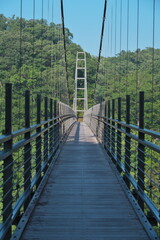 Shimane,Japan - June 28, 2025: A long suspension bridge over Oomaki river at Oni-no-shitaburui in Shimane, Japan at Sunrise
