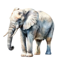 White elephant watercolor illustration isolated on transparent background. Ideal for Christmas parties or novelty gift ideas.