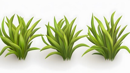 Obraz premium Vibrant Green Grass Tufts Lush Foliage Nature Plants
