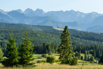 landscape in the mountains