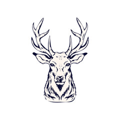 Fototapeta premium Elegant Vector Illustration of a Deer's Head