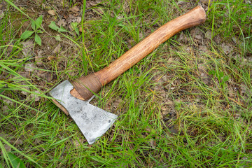 Vintage axe in green grass, -, close-up.