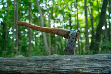 Vintage axe in green grass, -, close-up.
