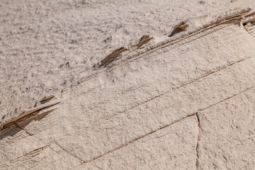 The Entrada Sandstone（Middle Jurassic） is a formation in the San Rafael Group，Mostly fine-grained sandstone. Toadstool Hoodoos Trail, Kane County, Utah geology . Weathering, erosion.