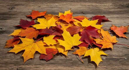 Autumn's Embrace: A Pile of Vibrant Maple Leaves on Rustic Wood