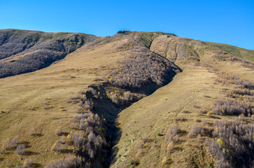 Capturing the beauty of a gently rolling hillside adorned with sparse vegetation, showcasing the...