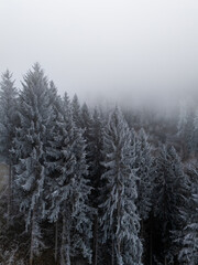 misty morning in the forest over snow covered trees drone photography winter mood
