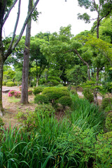 紫式部公園