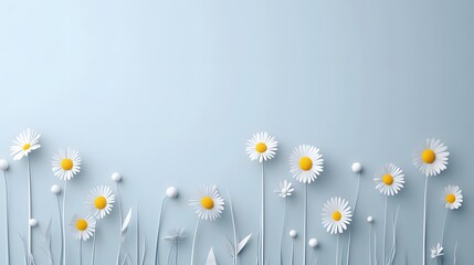 Elegant White Daisies on Blue Background Floral Minimalist Design