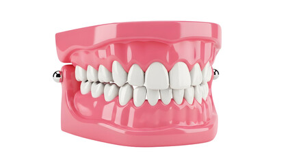 Obraz premium Dental jaw model with white teeth. Jaw on transparent background. Dental care and orthodontics concept. Tooth health.
