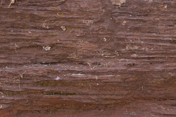 A brown wooden surface with a lot of texture and dirt