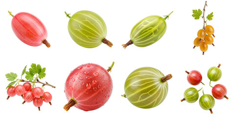 Isolated gooseberries in various colors on white background, set    