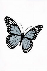 A delicate gray butterfly, wings patterned in black.
