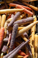 A bunch of small orange, yellow, and purple colored carrots on a vendor's table.The vibrant, colored organic root vegetables are for sale at farmers' markets.The vegetables are long with wrinkled skin
