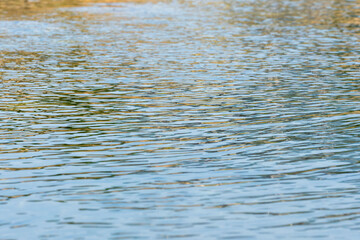 初夏の水辺　朝日に輝く川の流れ05