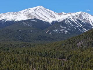 View of majestic snow-capped mountains towering over a vast, dense evergreen forest under a clear blue sky, capturing the pristine beauty of an alpine wilderness