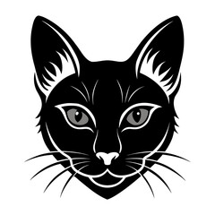 vector illustration of a cat