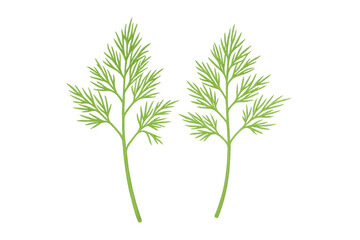 Fototapeta premium Two sprigs of fresh dill are isolated on a transparent background, ready to enhance culinary creations