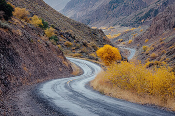 Autumnal mountain road winding through canyon