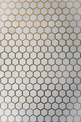 White hexagonal wall tiles with gold accent