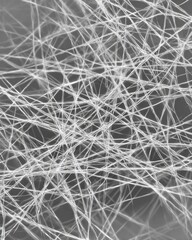 Obraz premium Intricate Patterns of Intertwined Thread-Like Structures in Monochrome