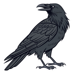 Dark raven with open beak and sharp claws crow bird