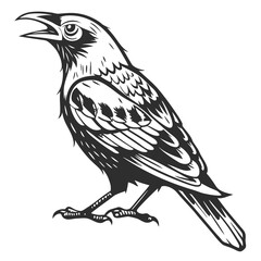 Distressed black ink crow with open beak bird stencil
