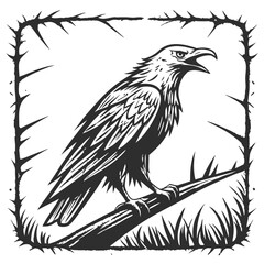 Fierce eagle perched on thorny branch monochrome illustration bird thorns