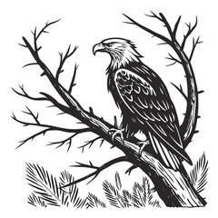 Majestic eagle perched on bare branches in ink stamp style bird tree