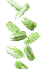 Fresh Chinese cabbages falling on white background