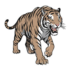 Obraz premium Fierce Walking Tiger Vector Illustration Roaring
