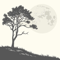 Silhouette tree against pale moon and grassy hill night