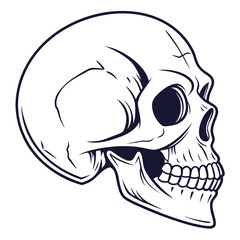 Dark lined skull profile on white human skull bone