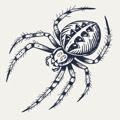 Detailed dark spider illustration on white background