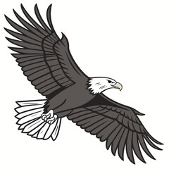 Majestic eagle in flight bird flying