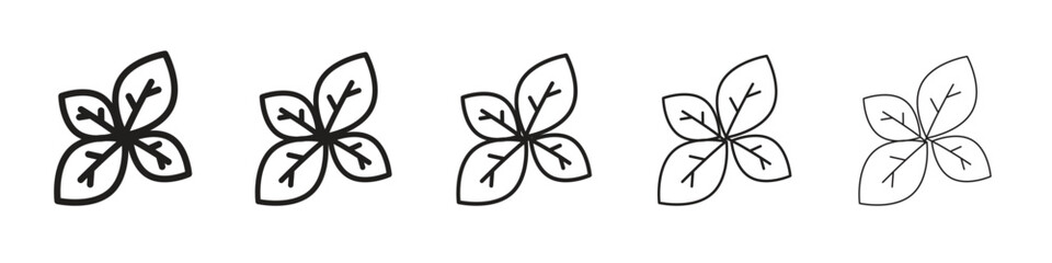 Basil icon design symbol collection for graphic design. EPS 10